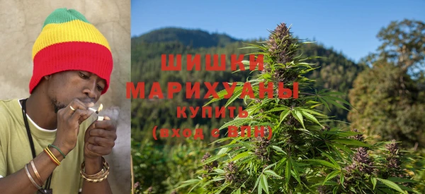 прущие грибы Ладушкин