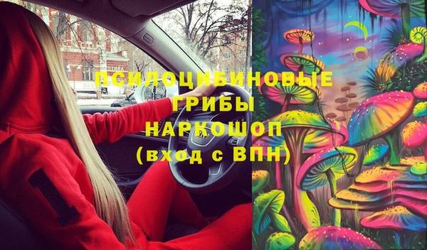винт Липки