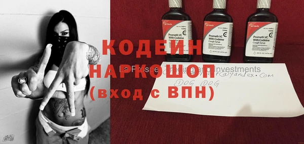 прущие грибы Ладушкин