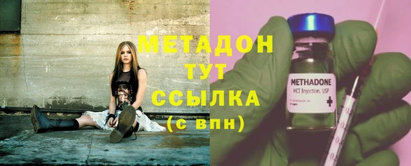 прущие грибы Ладушкин