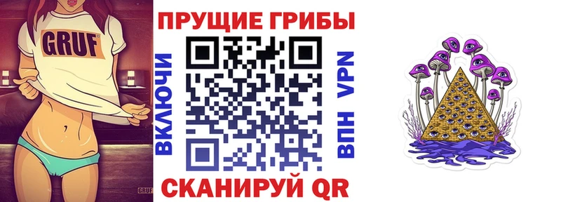 кракен зеркало  Сокол  Галлюциногенные грибы Magic Shrooms  где найти наркотики 