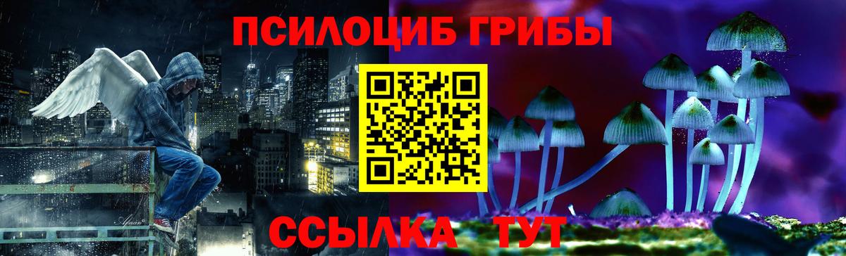 Сокол  Псилоцибиновые грибы MAGIC MUSHROOMS  Вход с VPN 